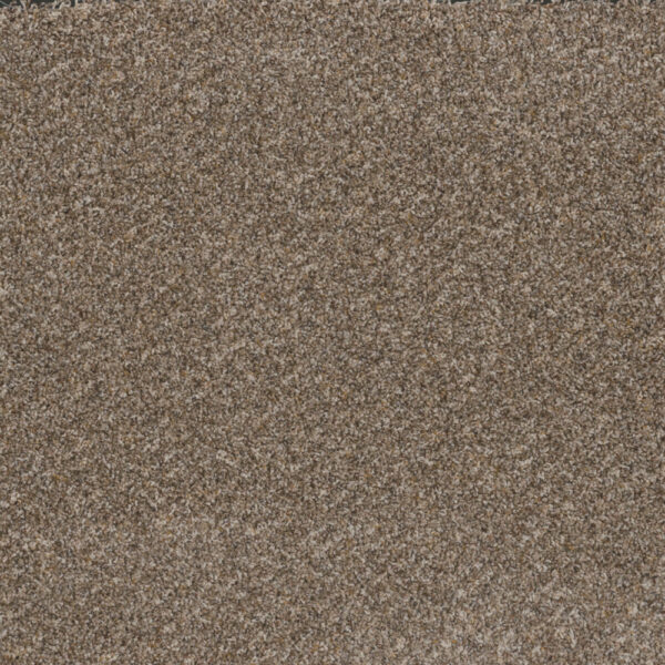 Dreamweaver Carpet Toast Of The Town Marble Heights Carpet 5315_403