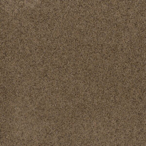 Dreamweaver Carpet Toast Of The Town Sandalwood Carpet 5315_511