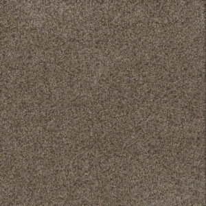 Dreamweaver Carpet Toast Of The Town Tanzanite Carpet 5315_895