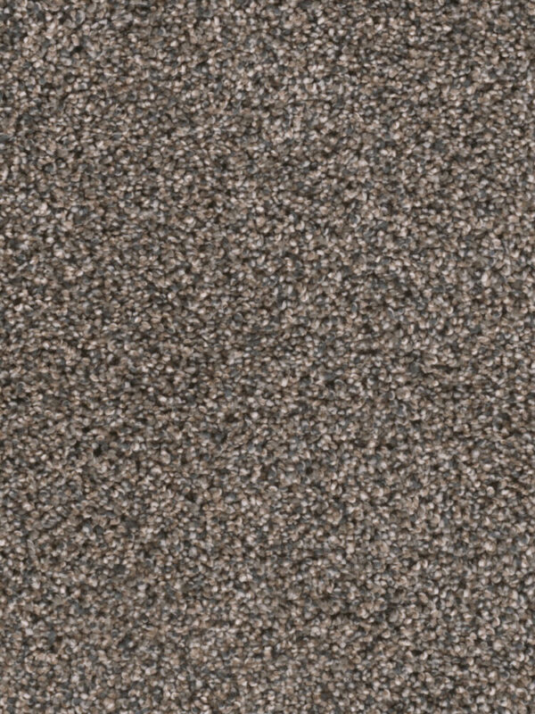 Dreamweaver Carpet Reflections I Imperial Sable Carpet 5348_134