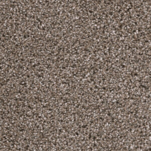 Dreamweaver Carpet Reflections II Pavestone Carpet 5365_195