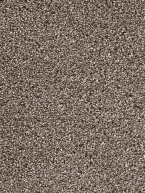 Dreamweaver Carpet Reflections II Pavestone Carpet 5365_195
