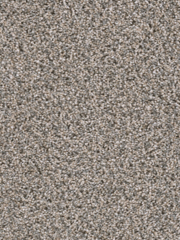Dreamweaver Carpet Reflections III Glimmer Carpet 5375_262