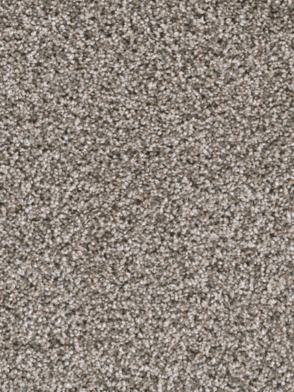 Dreamweaver Carpet Reflections II Sageview Carpet 5365_327