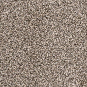 Dreamweaver Carpet Reflections II Oxford Stone Carpet 5365_359
