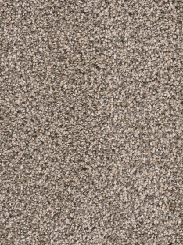 Dreamweaver Carpet Reflections I Oxford Stone Carpet 5348_359