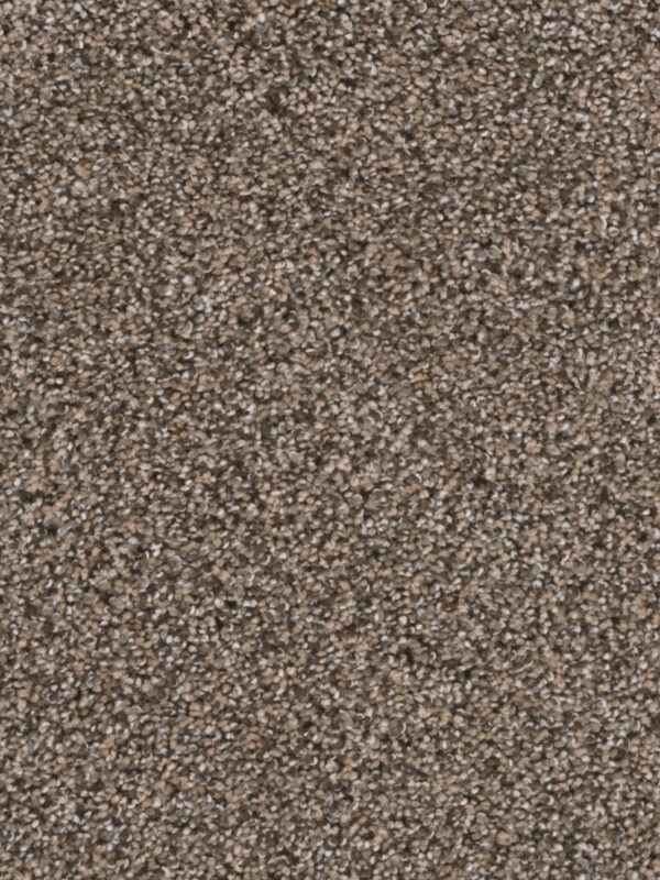 Dreamweaver Carpet Reflections II Smokey Taupe Carpet 5365_381