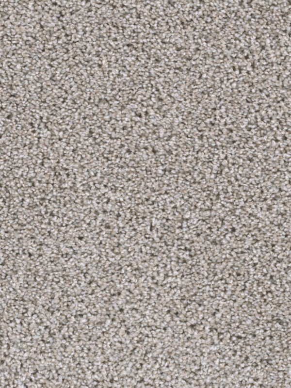 Dreamweaver Carpet Reflections I Antique Cameo Carpet 5348_386