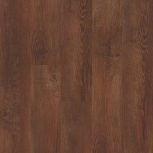 Shaw Mainstreet Commercial Bosk Warm Chestnut 6"