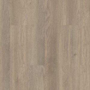 Shaw Mainstreet Commercial Indwell 12 Willow Oak 7"