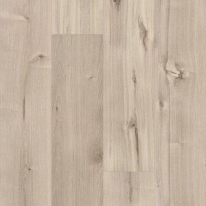 Shaw 5th And Main Symbiotic 20 Canvas 6"