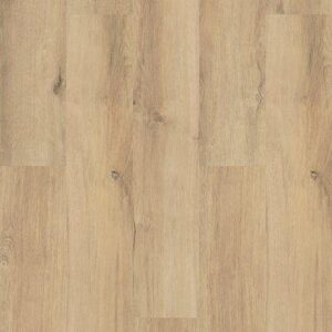 Shaw 5th And Main Frontier Plus Centennial Divi 7"