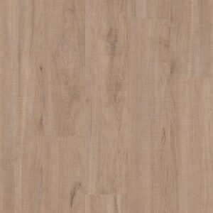 Shaw 5th And Main Setup Chatter Oak 7"