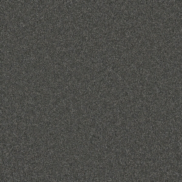 Dreamweaver Carpet Silver Lining III Storm Carpet 6033_2828