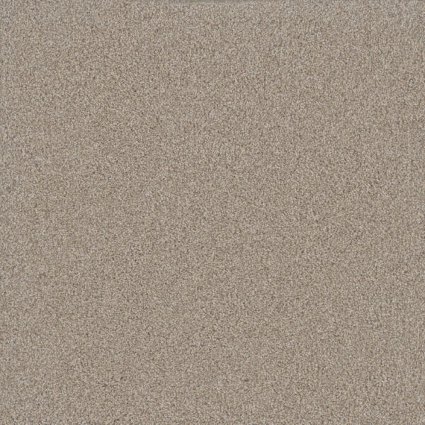 Dreamweaver Carpet Silver Lining III Nimbus Carpet 6033_2838
