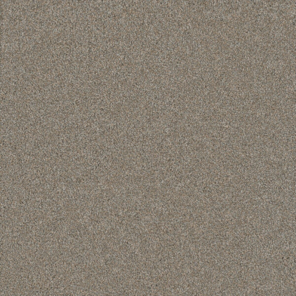 Dreamweaver Carpet Silver Lining III Cirrus Carpet 6033_2904