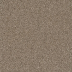 Dreamweaver Carpet Silver Lining III Cumulus Carpet 6033_2941