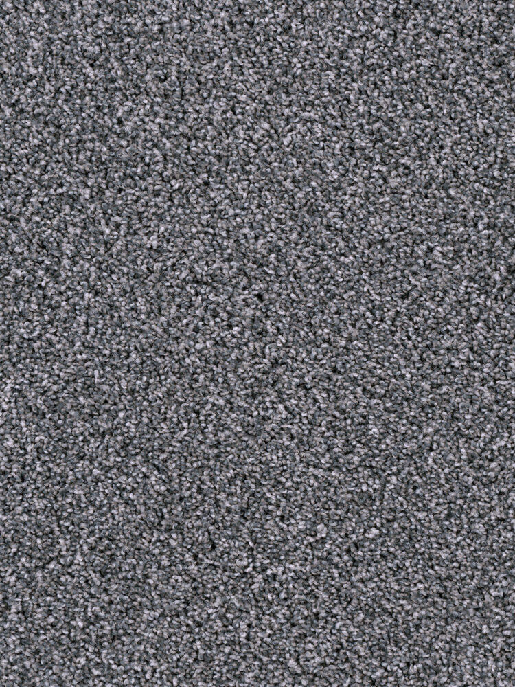 Dreamweaver Carpet West Brow Pearl Slate Carpet 6035_246