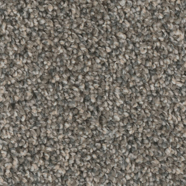 Dreamweaver Carpet West Brow Iron Sands Carpet 6035_252