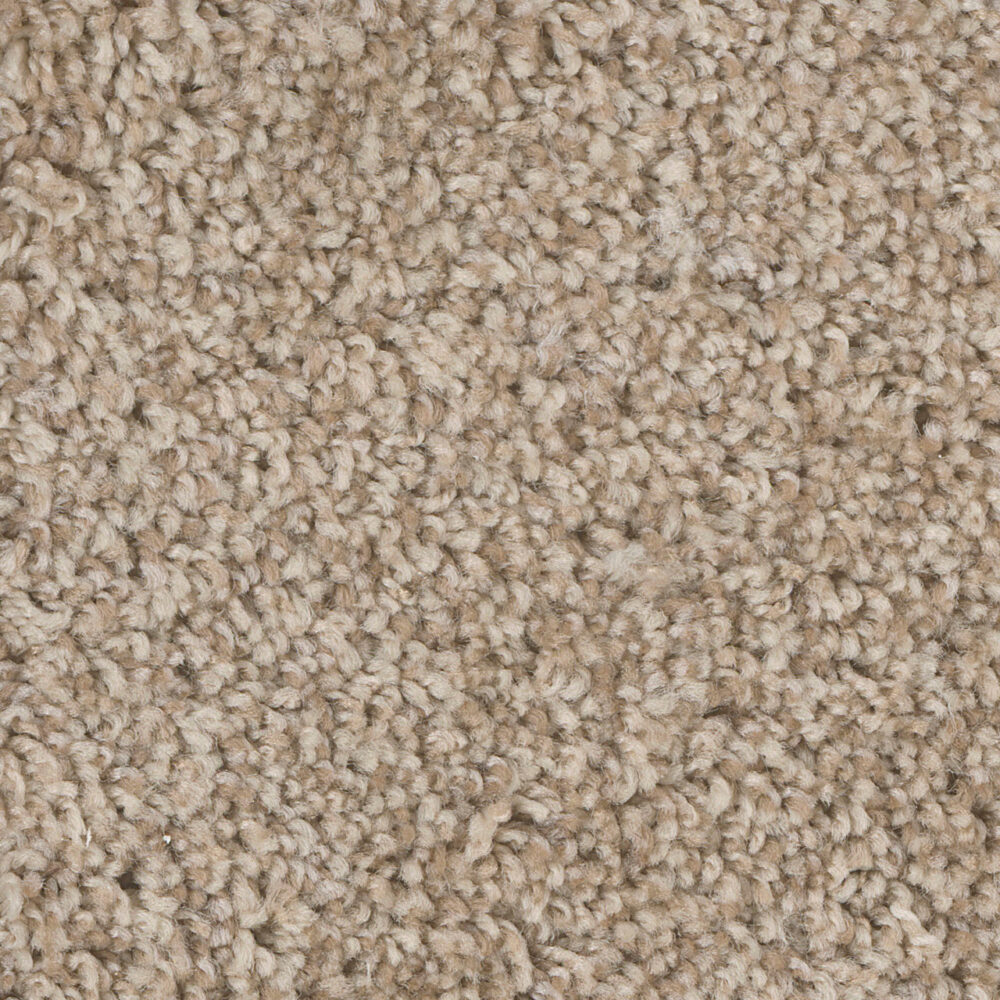 Dreamweaver Carpet West Brow Rusty Opal Carpet 6035_263