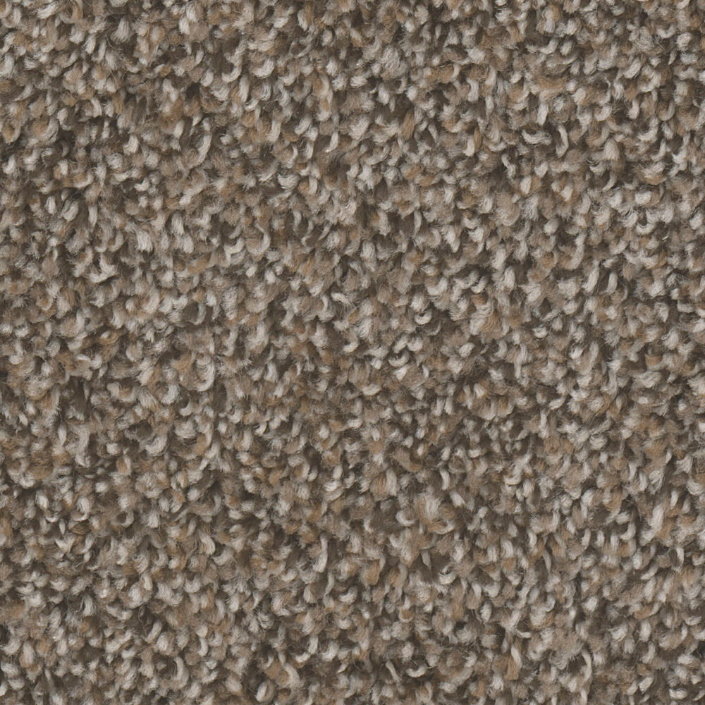 Dreamweaver Carpet West Brow Copper Mine Carpet 6035_314