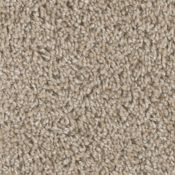 Dreamweaver Carpet West Brow Natural Pebble Carpet 6035_609