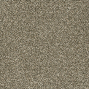 Dreamweaver Carpet Brazen II Olympic Carpet 6260_156