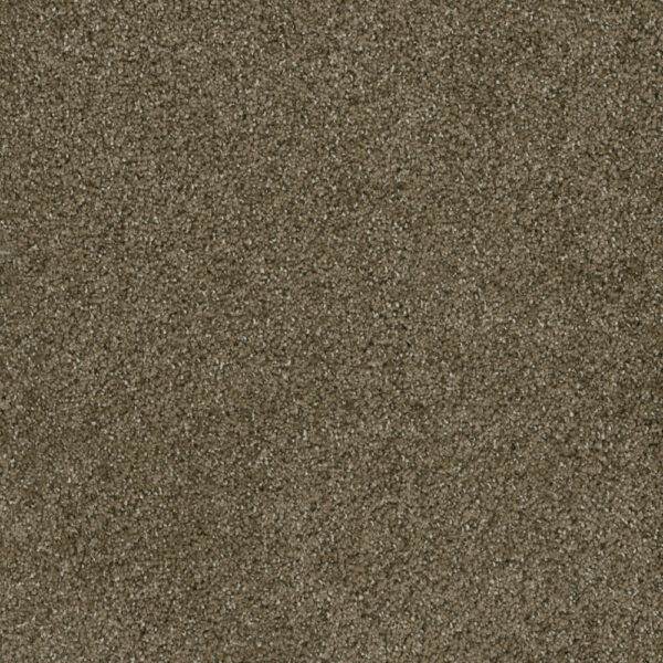 Dreamweaver Carpet Brazen II Brandywine Carpet 6260_245