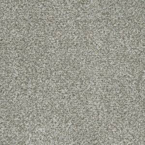 Dreamweaver Carpet Brazen II Purity Carpet 6260_407