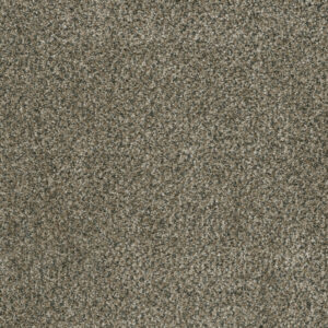 Dreamweaver Carpet Brazen II Feather Soft Carpet 6260_497