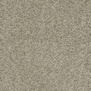 Dreamweaver Carpet Brazen II Acadia Carpet 6260_596