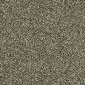 Dreamweaver Carpet Brazen II Olivewood Carpet 6260_605