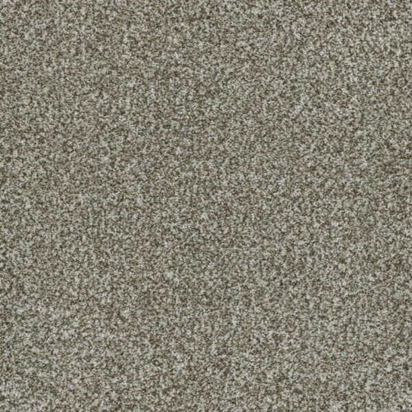 Dreamweaver Carpet Brazen I Clove Carpet 6240_848