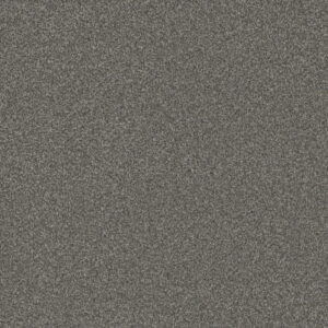 Dreamweaver Carpet Blazer III Mill Stone Carpet 6375_1970