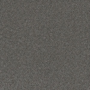 Dreamweaver Carpet Blazer III Tulsa Twilight Carpet 6375_2221