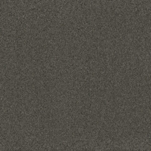 Dreamweaver Carpet Blazer III Smoky Quartz Carpet 6375_4180