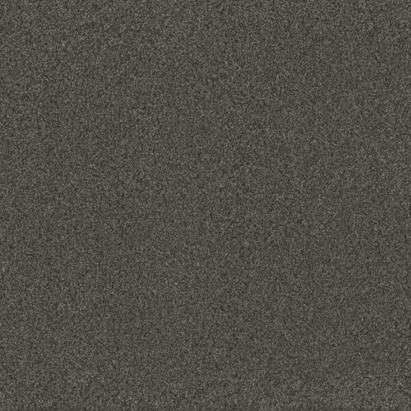 Dreamweaver Carpet Blazer I Smoky Quartz Carpet 6340_4180