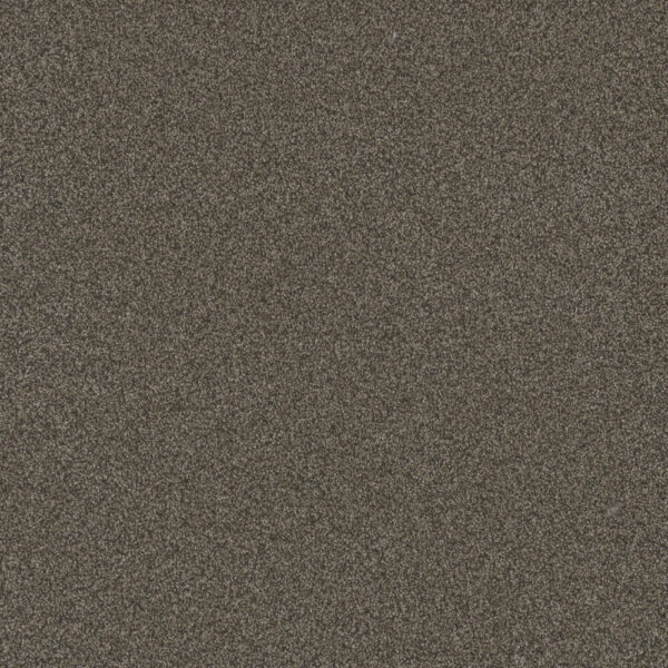 Dreamweaver Carpet Blazer I French Roast Carpet 6340_5133