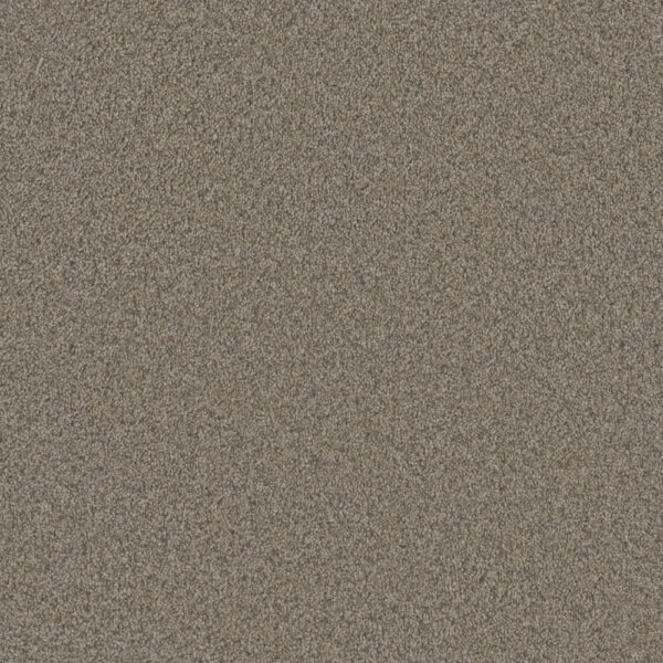 Dreamweaver Carpet Blazer I Umber Carpet 6340_6004