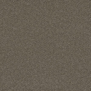 Dreamweaver Carpet Blazer III Fawn Carpet 6375_6005