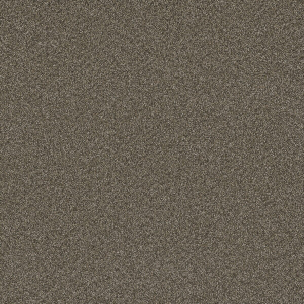 Dreamweaver Carpet Blazer III Fawn Carpet 6375_6005