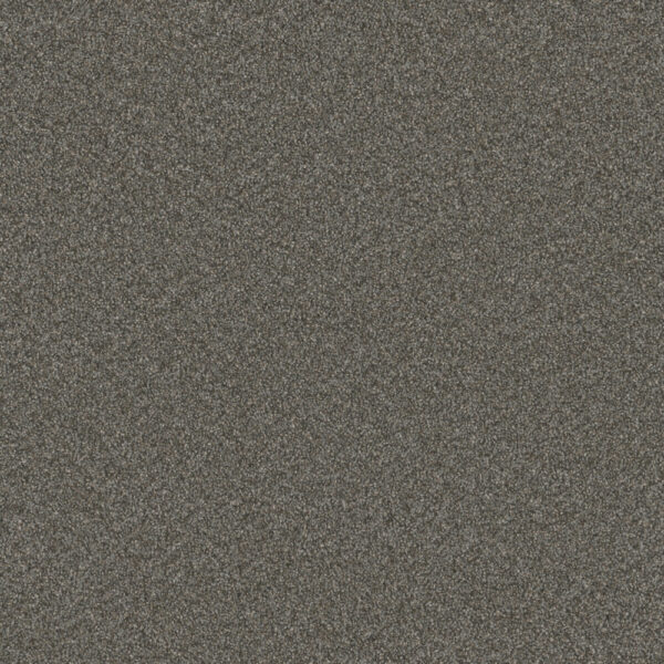 Dreamweaver Carpet Blazer III Meadow Dance Carpet 6375_6049