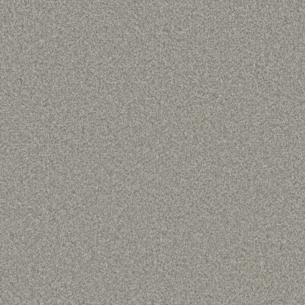 Dreamweaver Carpet Blazer II Polar Cap Carpet 6360_6057