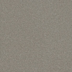 Dreamweaver Carpet Blazer III Antique Fresco Carpet 6375_6076