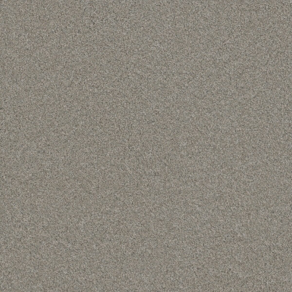 Dreamweaver Carpet Blazer II Antique Fresco Carpet 6360_6076