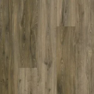 Karastan Luxecraft Treasured Grove Luxury Vinyl Flint
COLOR #917