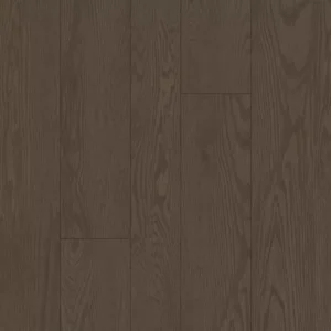 Karastan Luxecraft Refined Forest Luxury Vinyl multi size Kona
COLOR #879