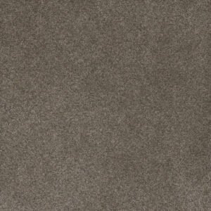 Dreamweaver Carpet Serene II Ridgeview Carpet 7150_2245