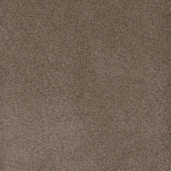 Dreamweaver Carpet Serene II Shellbark Carpet 7150_2251