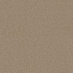 Dreamweaver Carpet Exceptional II Cashmere Carpet 7404_580